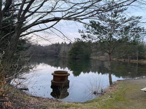 a view of a body of water with a tree at 4 person holiday home in Oksbøl-By Traum in Oksbøl