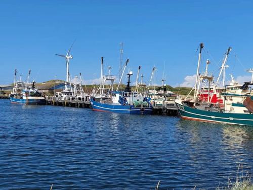a group of boats docked at a dock in the water at Charming Retreat in Ringkobing - By Traum Ferienwohnungen in Ringkøbing