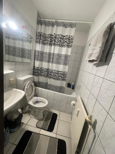 a bathroom with a toilet and a shower at Panorama building in Eschborn