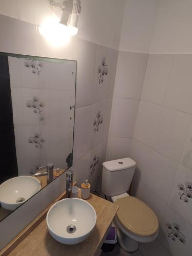 a bathroom with a toilet and a sink and a mirror at Arenas del Diablo in Punta Del Diablo