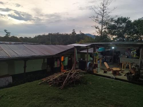 a house with a roof on top of a yard at Manantial de Vida in Cuispes