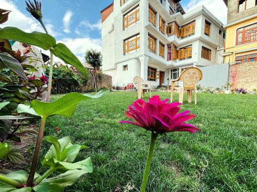 a pink flower in the grass in front of a house at Herald spring in Srinagar