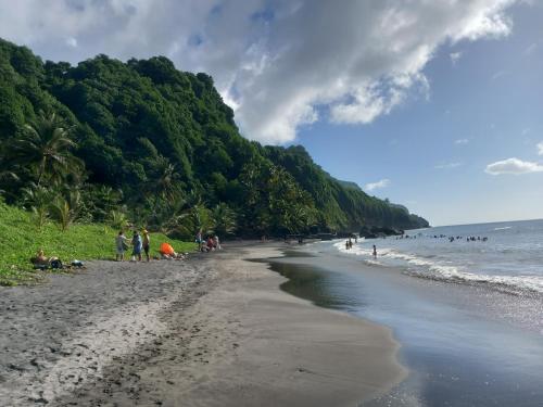 un groupe de personnes sur une plage près de l'océan dans l'établissement Studio avec jardin Morne des Esses, à Sainte-Marie