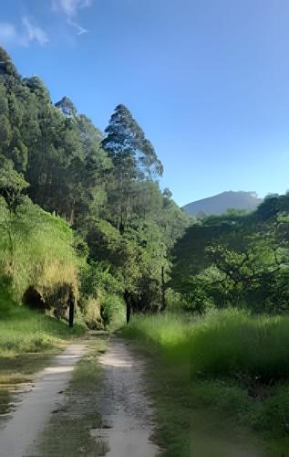a dirt road in the middle of a forest at Chalé Montserrat com Lareira e Vista para as Montanhas in Nova Friburgo