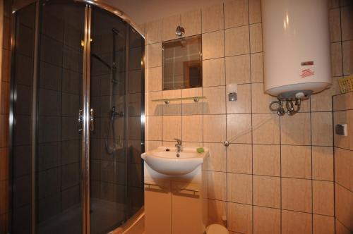 y baño con ducha y lavamanos. en Apartament pod Dębami en Rowy
