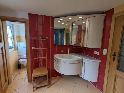 un baño con lavabo y espejo en Aantengössel, en Born