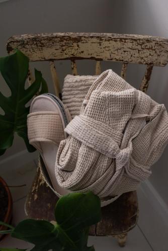 a pair of shoes sitting on a chair with a plant at The Eyrie, your private Ocean View apartment in Head of Jeddore