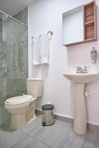 Koupelna v ubytování Apartamentos y Loft en Zona Rosa de Laureles