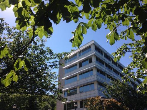 an office building seen through the leaves of trees at Pensión Riberas del Urumea in Donostia-San Sebastián