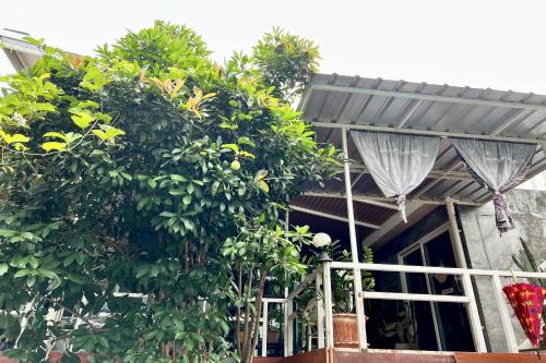 a house with a tree in front of it at Bann Kam B&B in Krabi town