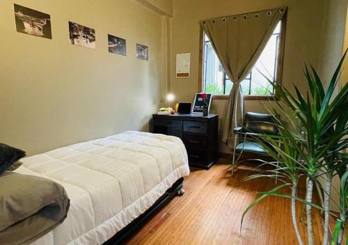 a bedroom with a bed and a desk and a plant at FRONTERA 49 Roma Norte Hostal in Mexico City