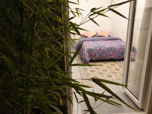 Studio Cosy au bord du Canal 