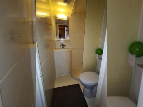 Koupelna v ubytování Chalet 2 Chambres pour 5 Personnes avec Terrasse - API-1-52-537