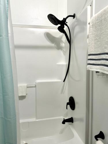 a shower with a shower head in a bathroom at Tiny Getaway in Palmetto