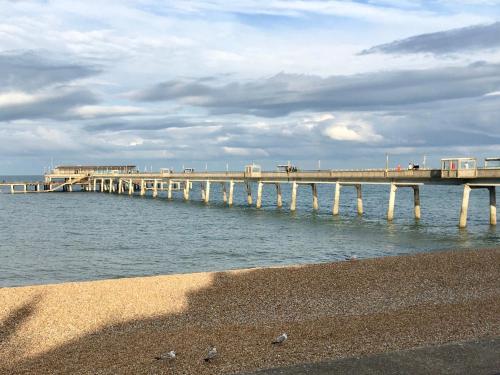 a pier over the water with birds on the beach at Coastal View in Kingsdown