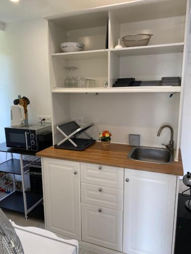 モントルーにあるLogement entier Montreuxのキッチン(シンク、電子レンジ付)