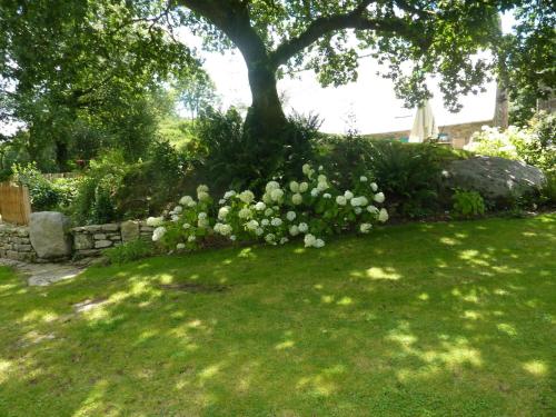 a garden with a tree and some white flowers at Holiday Home in Huelgoat near Monts d'Arrée in Huelgoat