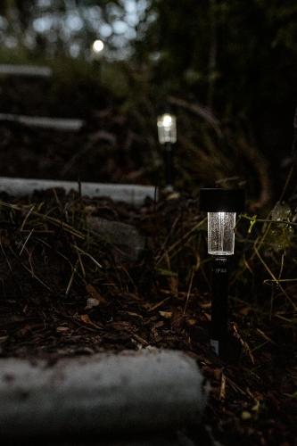 a couple of lights in the woods at night at Voodoo Glamping in Únětice