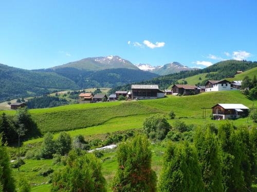 ディゼンティスにあるSegnas Mountain Apartmentの家並み山並みの緑地