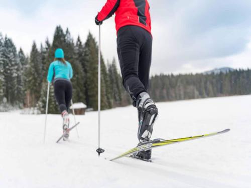 two people are cross country skiing in the snow at Holiday Home in Altmelon near Weinsberg Forest in Altmelon