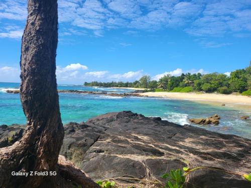 a view of a beach with a tree on the shore at Nosy-Borah Holidays in Analabe