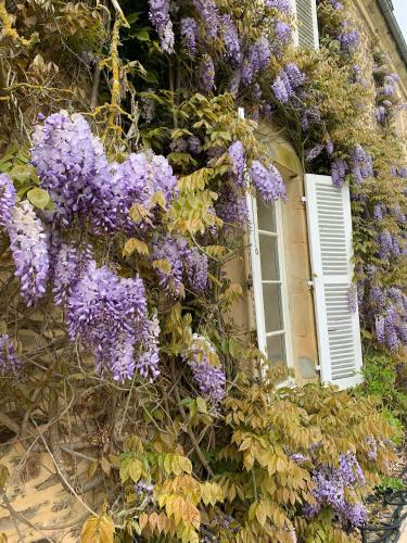 Taman di luar Historic Castle In The Heart Of Normandy