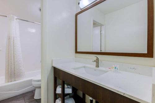 a bathroom with a sink and a toilet and a mirror at Comfort Suites Tucson near Sabino Canyon in Tucson