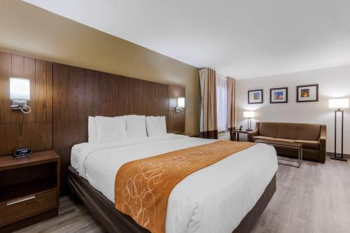 a hotel room with a large bed and a couch at Comfort Suites Tucson near Sabino Canyon in Tucson