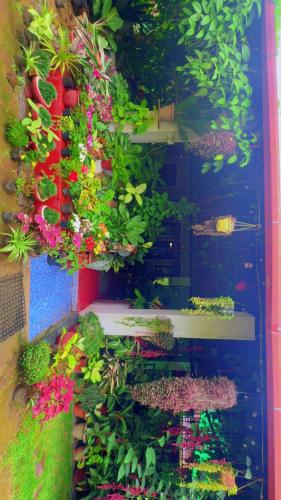 a vertical garden with plants and flowers on a wall at Edgestay in Mudigere