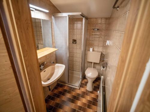 a small bathroom with a sink and a toilet at Double room in Saalfelden by the Steinernes Meer in Saalfelden am Steinernen Meer