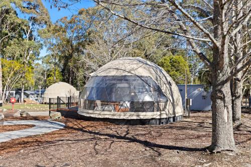 a dome tent in a park next to a tree at BIG4 Yarra Valley Park Lane Holiday Park in Healesville