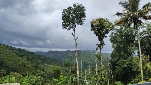 Φυσικό τοπίο κοντά σε αυτή η παραθεριστική κατοικία