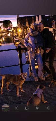 a group of people with two dogs on a leash at Hotel Stedswal in Sloten