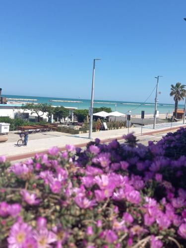Gallery image of Il Canto del Mare Rooms & Suites in Porto SantʼElpidio