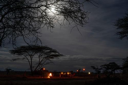 a full moon in the sky at night at Serengeti Sametu Camp in Serengeti National Park