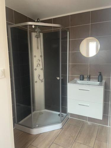 a bathroom with a shower and a sink at Studio El Canigou in Prades