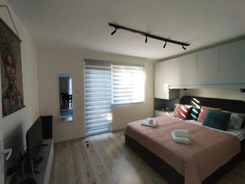 a bedroom with a bed and a television in it at Apartman Sky 1 in Gornja Toplica