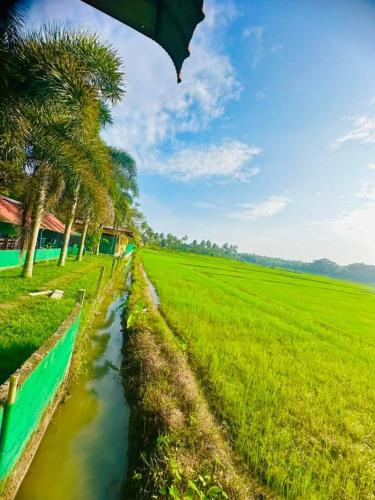 Landskap semula jadi dekat dengan hotel