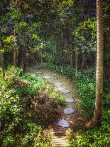 a path in the middle of a forest with trees at Shangri-La! Secluded & Lush Country Property in Kin Kin