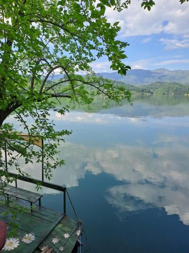 a bench sitting on a dock on a lake at House Maclura Jablanica Lake in Železnička Stanica Ostrožac