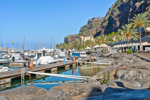 a marina with boats and palm trees and a mountain at Luzia by the Sea - T1 Acolhedor a Passos da Praia in Calheta