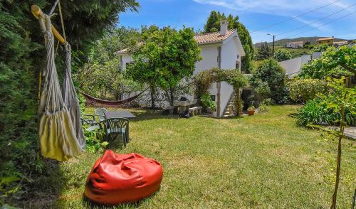 a yard with a hammock and a house at Moinho do Prado in Vila Nova de Cerveira
