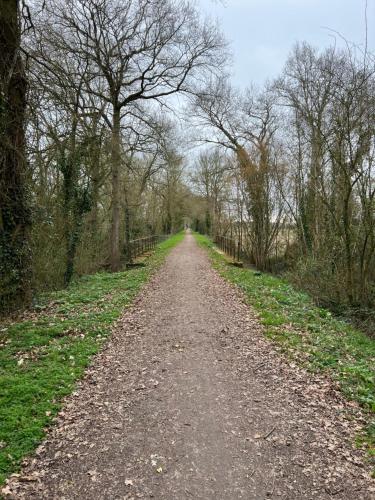 a dirt road with trees on both sides of it at Gîte Le Domaine Des Faluns in Le Quiou