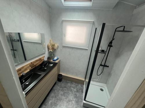 une salle de bain avec lavabo et douche dans l'établissement Gîte 4 étoiles, centre Monein, 4 chambres, terrasse, jusqu'à 8 pers, à Monein