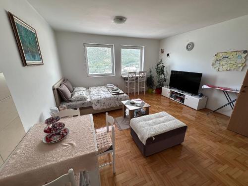TV a/nebo společenská místnost v ubytování APARTMENT JOVOVIC