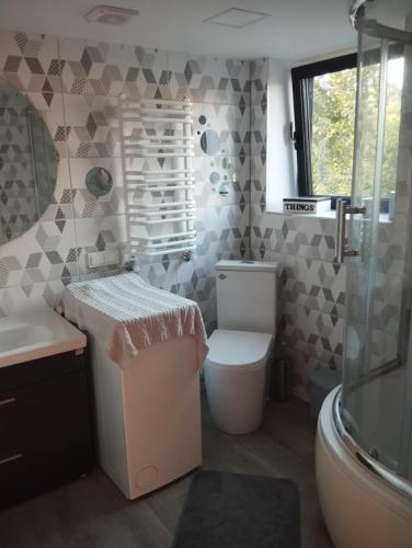 a bathroom with a toilet and a sink and a shower at Namelis soduose in Akademija
