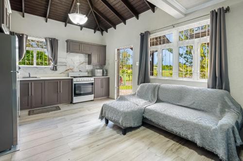 a living room with a couch and a kitchen at Serene Escape - Central & Modern in Christ Church