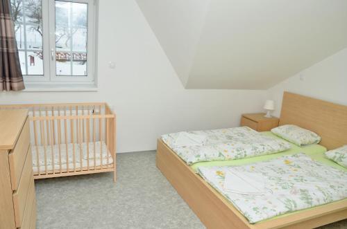 a bedroom with two beds and a window at Penzion Na Vršku in Branná