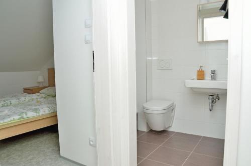 a bathroom with a toilet and a sink at Penzion Na Vršku in Branná