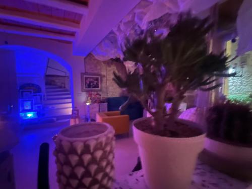 Galeriebild der Unterkunft Hydria Guest House Art Gallery Dimora d artista con terrazza e vasca idromassaggio nel cuore del borgo antico Artists Home with terrace and jacuzzi in the heart of the old town in Acquaviva delle Fonti